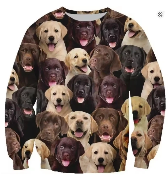 Cat Dog House 3D Print Hoodie Men Kids Oversized Long Sleeved Sweatshirt Sportswear Spring Autumn Fashion Round Neck Pullovers