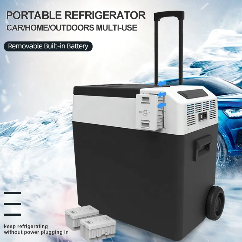 Mini Frigorifero Portatile per Auto a Risparmio Energetico, Refrigeratore per Cibo e Bevande, Frigo da Viaggio