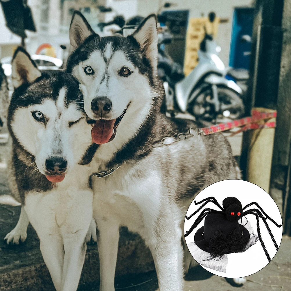 

2 Pcs Pet Headgear Halloween Spider Hat for Pets Party Dogs Small Costumes Hats Poodle
