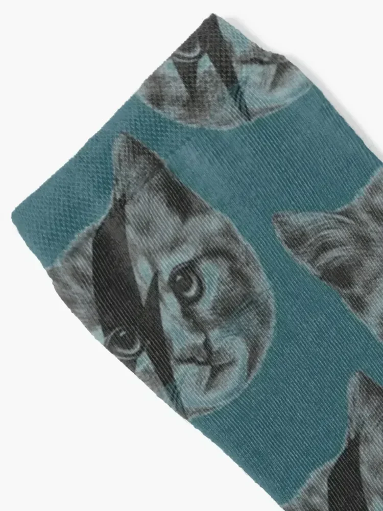 Ziggy Stardust Cat Socks sheer valentine gift ideas Thermal man winter Man Socks Women's