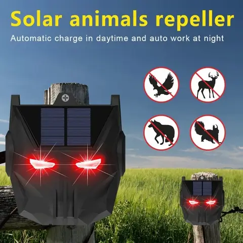 6 best sales solhund - №6