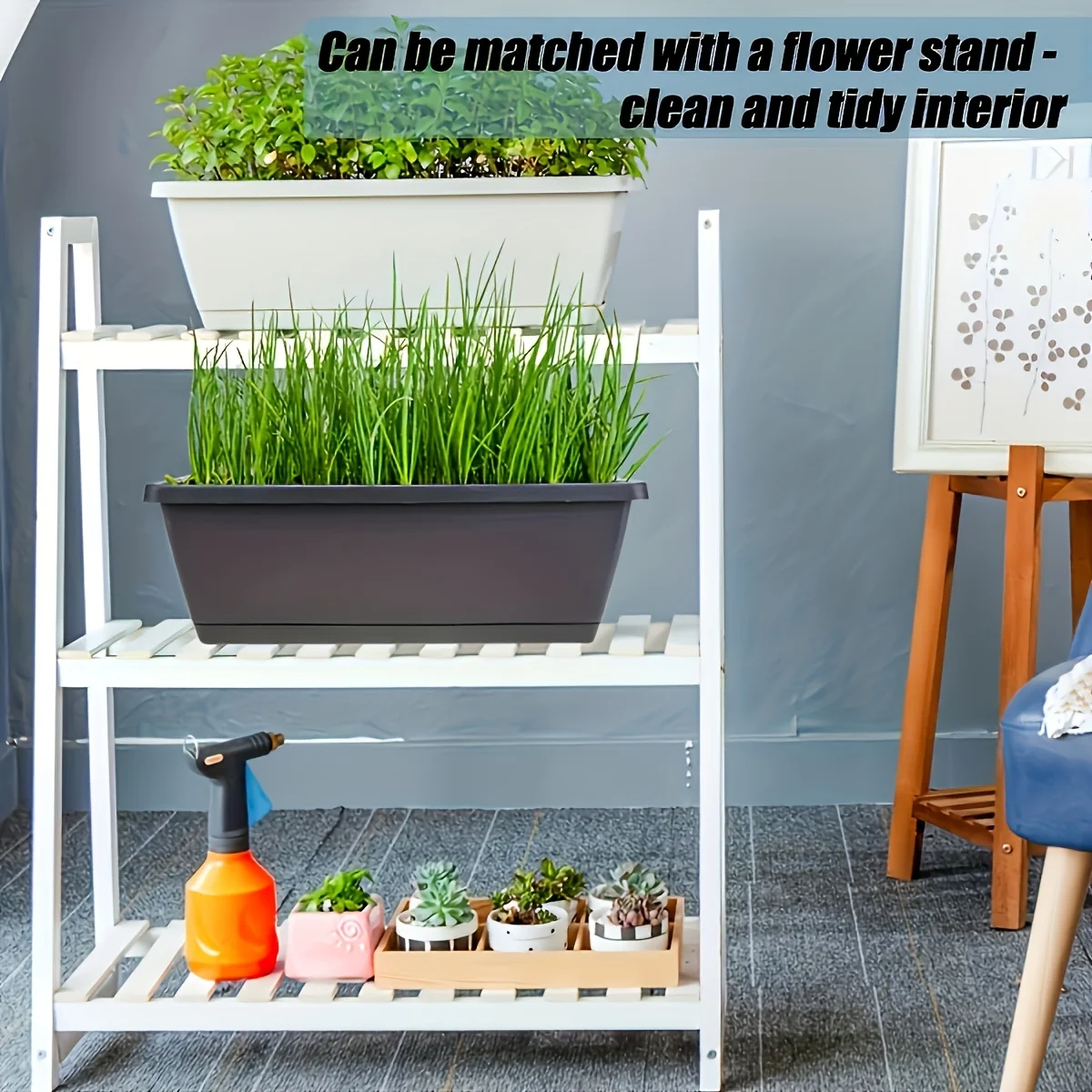 Thumbnail 4 - #57 Compare Plant Pots Before You Buy