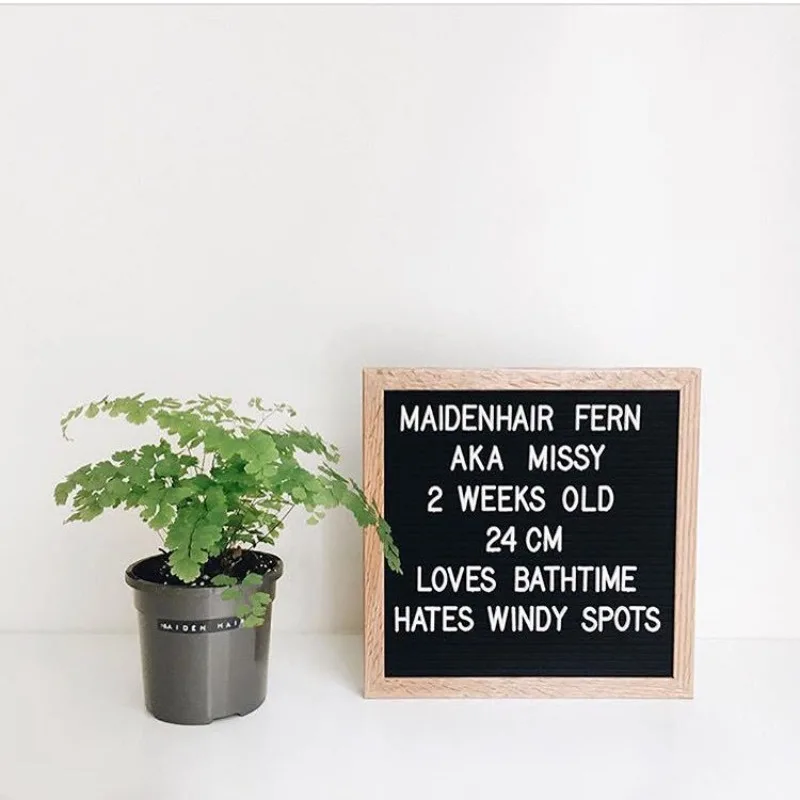 Home Accessories Or…