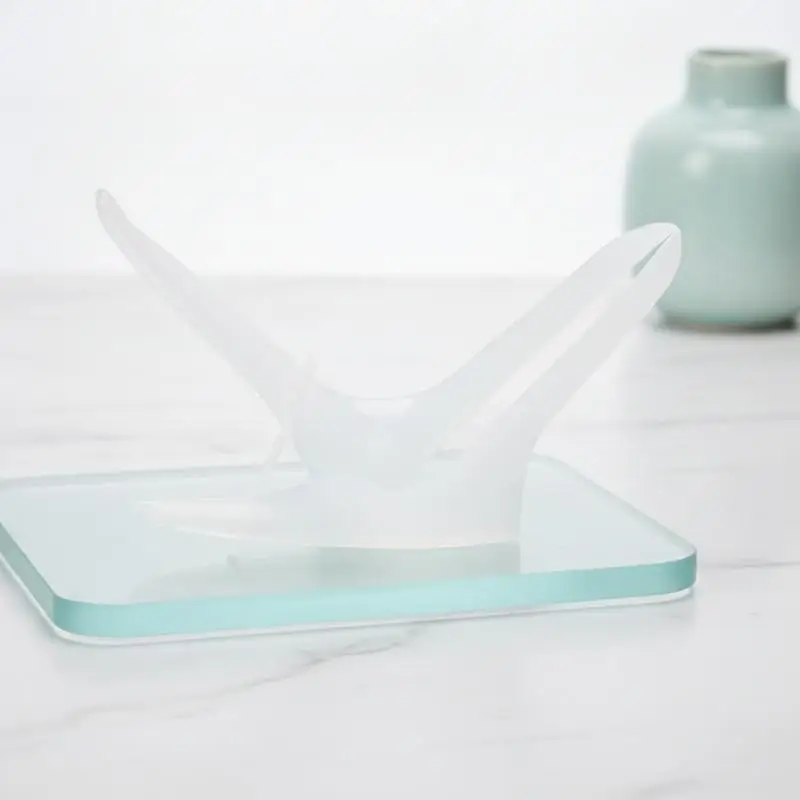2Pcs Disposable Sterile Vaginal Speculum, Grade Individually Packaged Speculum for Gynecological Examination