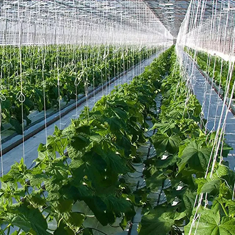 6 개/대 정원 식물 롤러 후크 토마토 지원 후크 키트 토마토 용 지원 문자열 로프 가지 수박 고추