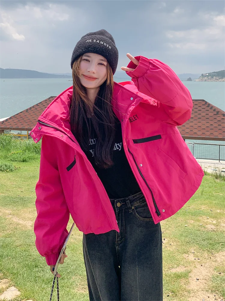 Pink Short Workwear Style Jacket Women's Winter Thick Outerwear American Style down Jacket Coat Zipper Closure Hooded Coat