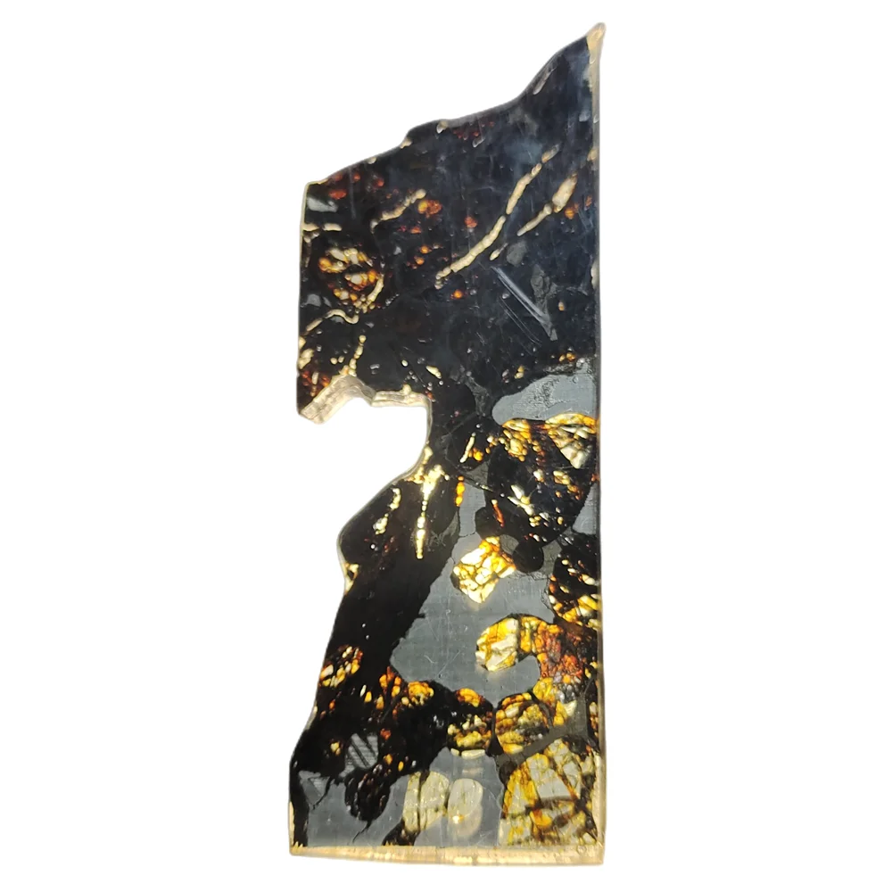 Brenham Olive Meteorite Slice Natural Meteorite Material High Quality Olive Meteorite Specimen Jewelry