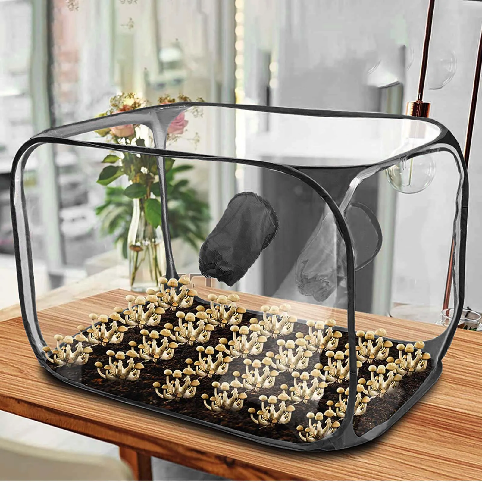Mini Greenhouse Easy Storage Waterproof Folding Mushrooms Growing Bags Planters Box for Garden Roofs Back Porch Vegetable Yard