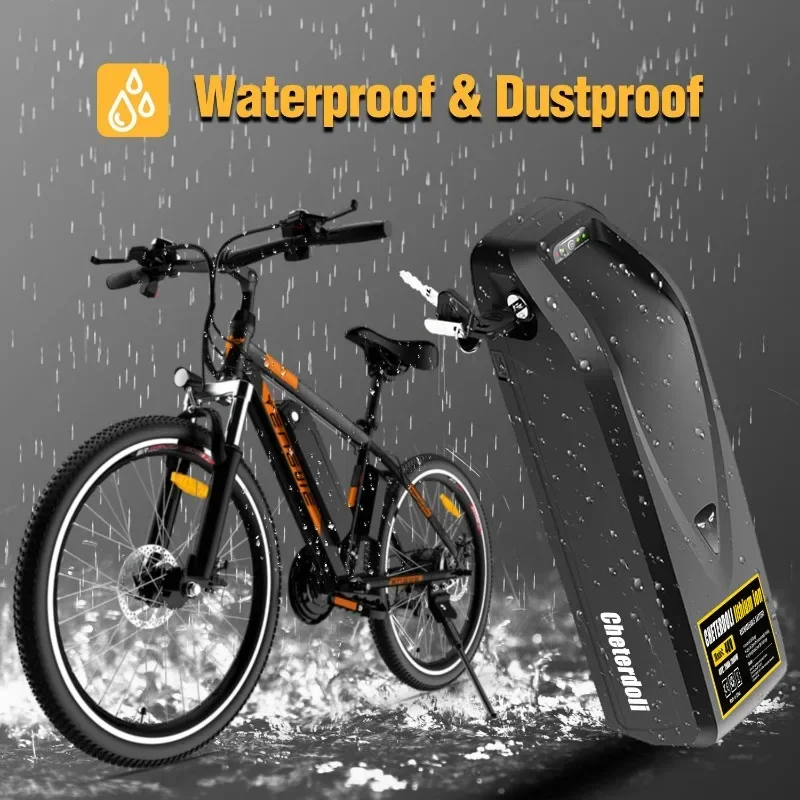 Batteria originale Hailong Ebike 48V 10Ah 20Ah 30A BMS 350W 500W 750W 1000W 18650 Cell Spedizione gratuita e caricabatterie regalo duty-free