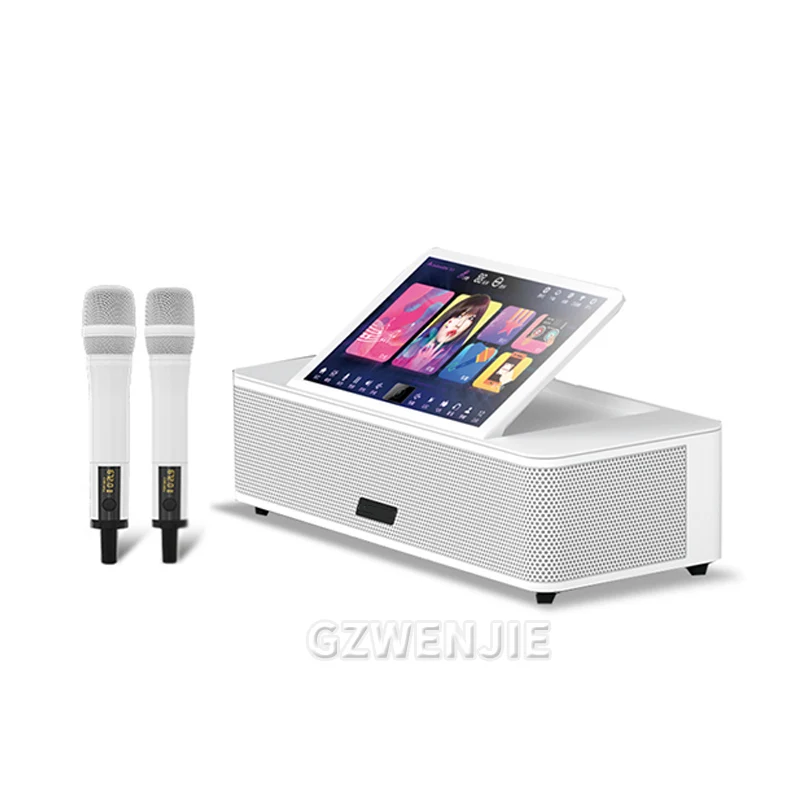 Karaoke Machine Bluetooth5.0 Portable karaoke Player System With 2 Wireless Microphones Home Family Singing KTV Stereo Player