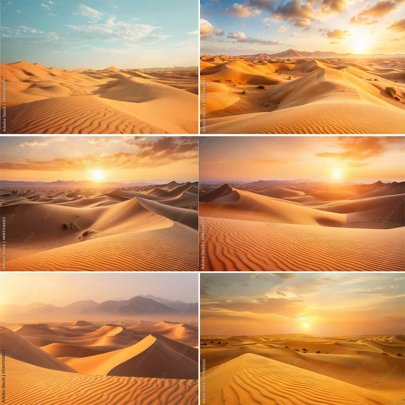 Scenic Sahara Desert Sunlight Sky Photography Backdrops Morocco Africa Landscape Sunset Sand Dune With Bushes Background DS-03