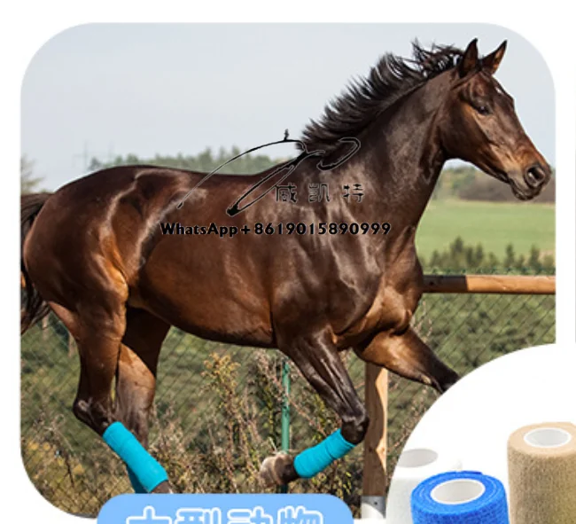 144Pcs Horse/Dog/Cat Health Care 10cm*4.5m Colored Self-Adhesive Non-Woven Cohesive Bandage Adhesive Elastic Bandage Tape