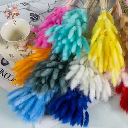Natural Dried Flower Rabbit Bunny Tail Grass Fluffy Dry Pampas Lagurus Ovatus Wedding Festival Party Home Decoration Photo Props