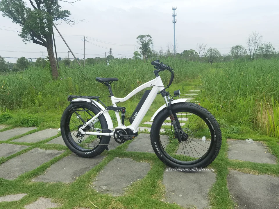 High Power E MTB 8 Speed Fat Tire Full Suspension Electric Mountain Bike 1000w Bafang M620 Mid Drive Ebike for Hunting image 5