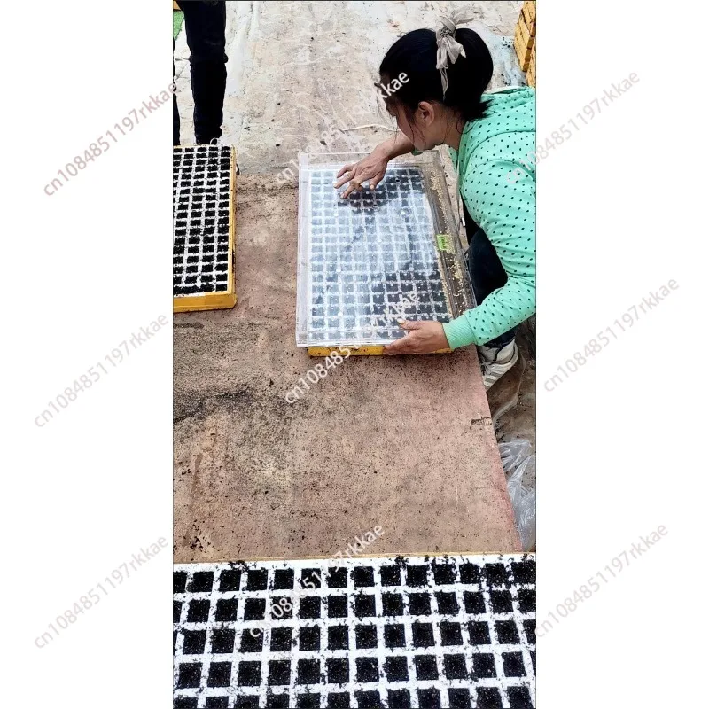 Stainless Steel Seedling Tray Hole Puncher Seeding Compression Plate for Tray Seedling Tool