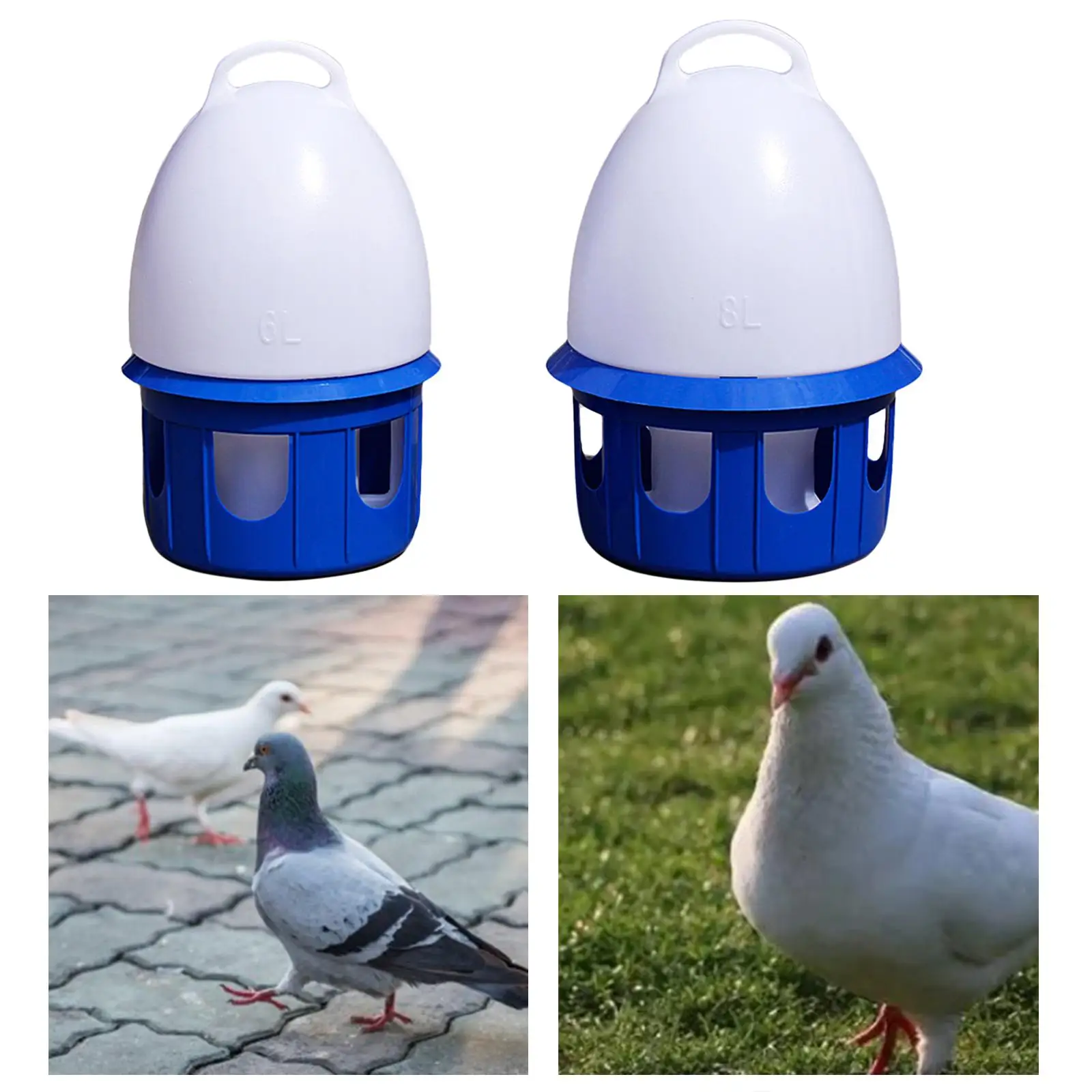 Automatic Bird Water Dispenser Drinker Outdoor Hanging Pigeon Waterer for Parakeet