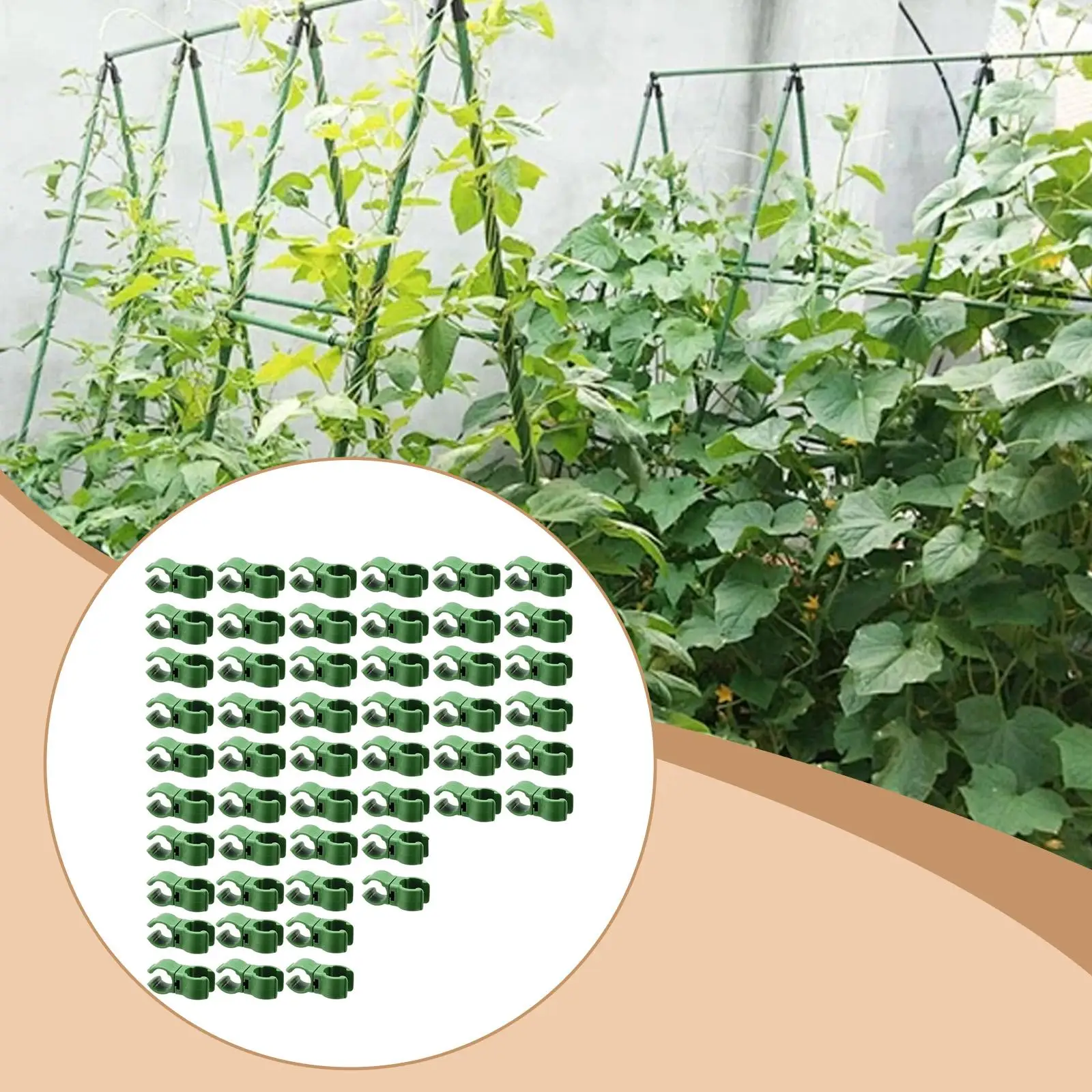 50 Pieces Plant Trellis Connector Clips Rotatable Lightweight Plant Vine Stake Connector Clips 11mm for Indoor Outdoor Yard