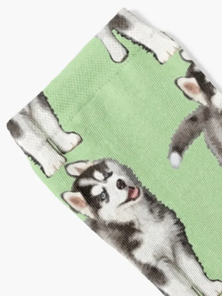 Pomsky Portrait - Pomsky Lover Gift - Cute Puppy Socks snow hockey with print sports stockings Male Socks Women's