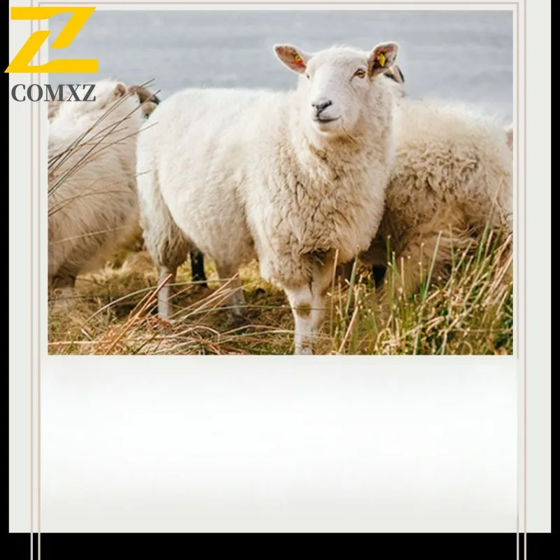 Winter Wool Overcoat Men 2025 New Lapel Fur Trim Mid Length TrenchCoat Business Casual Detachable Down Inner Premium Jackets