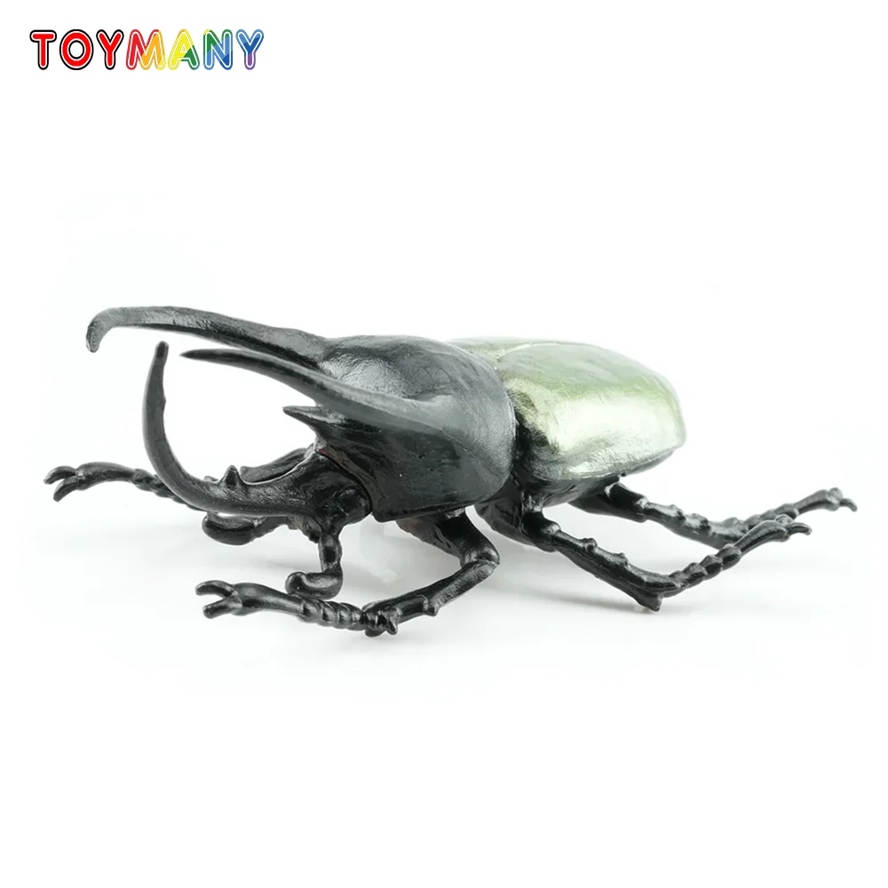 

Toymany Simulation Insect & Beetle Atlas Beetle Animal Model Toy Mini Figures Dolls Action Figurines Toys Children Gift