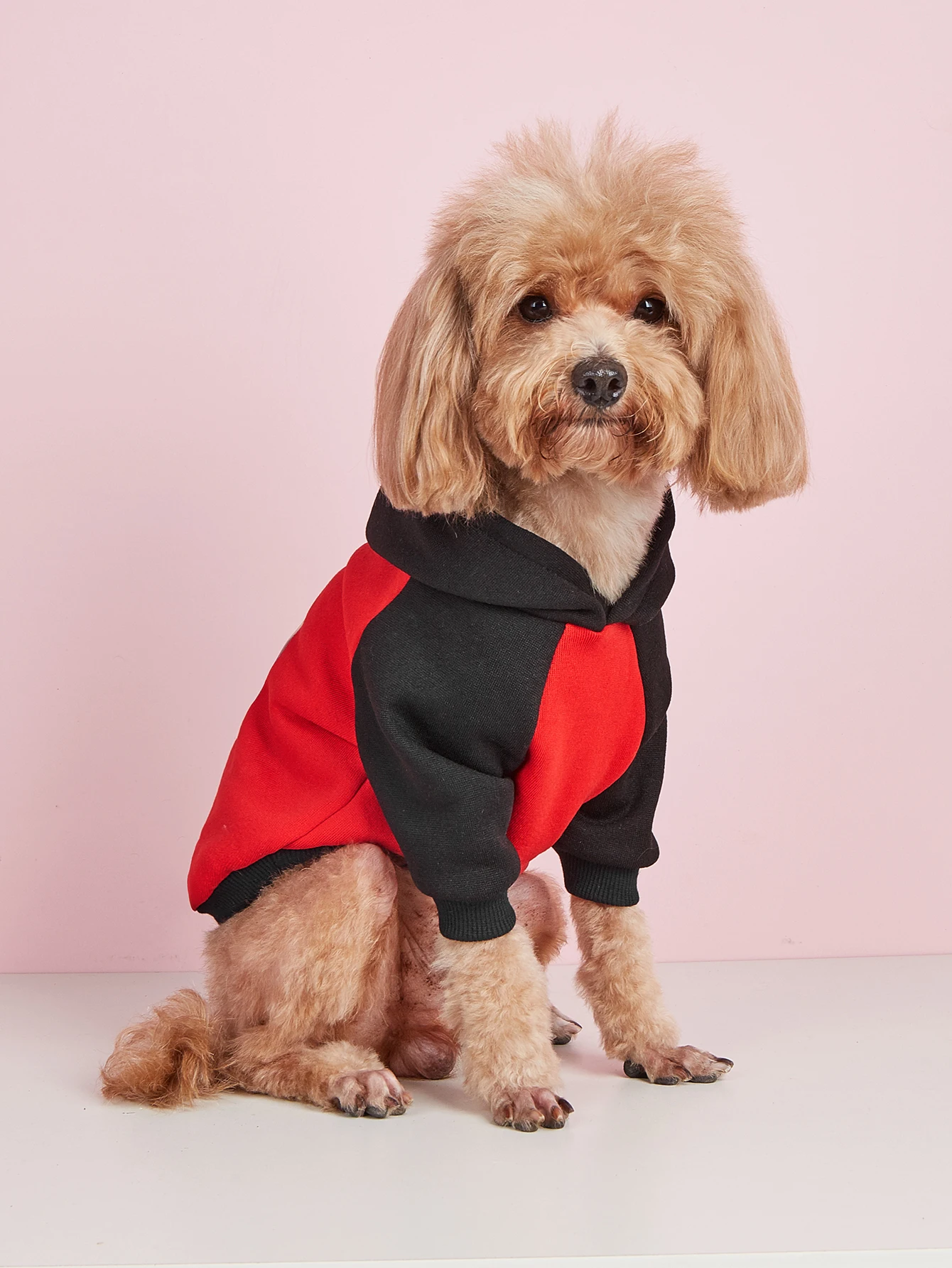 Pet clothes dog cat sweatshirt with velvet warm and comfortable clothes with prints simple and generous, fashionable and super c