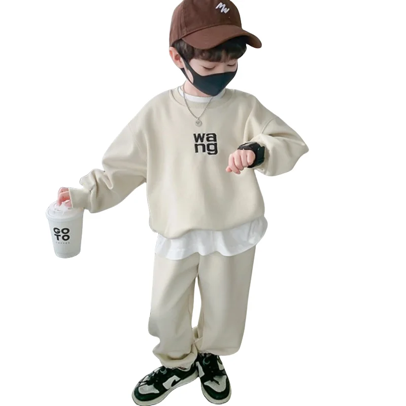 Boys Sweatshirts+Trousers Cotton Kids Sport Suits 2PCS/Set 2023 Apricot Spring Autumn School Teenagers Tracksuit Children Sets