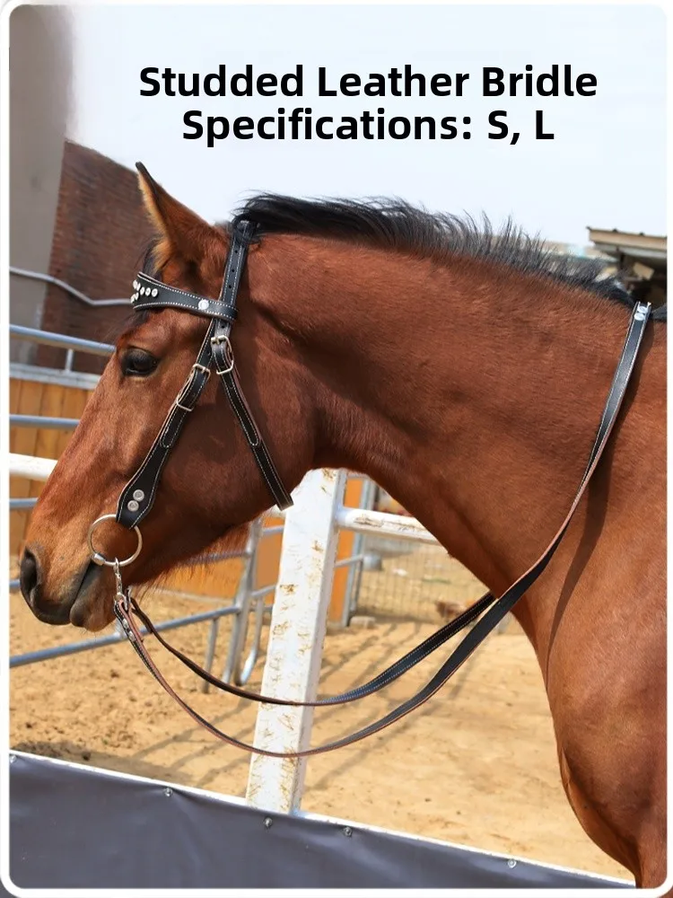 ensemble-de-bridon-et-de-mors-en-cuir-water-diamond-accessoires-d'equitation-fournitures-de-sellerie-sans-marque-enregistree