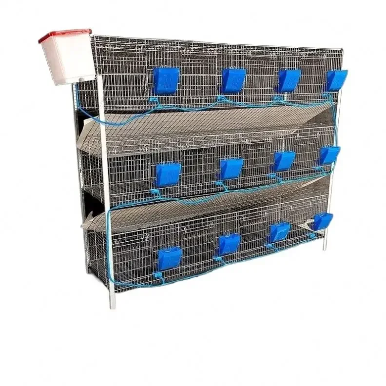 חם saleship 24 cell סוג חם לטבול רשת פנימית ארנב כלוב שכבה אוטומטית ארנב