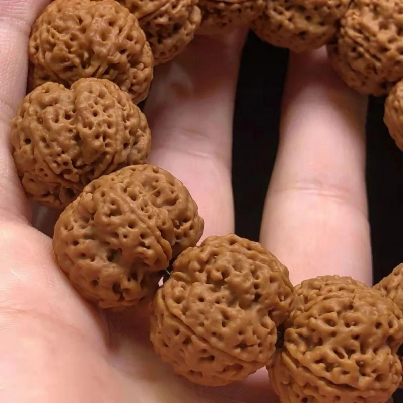 Nepal Five Faces Rudraksha Bracelet