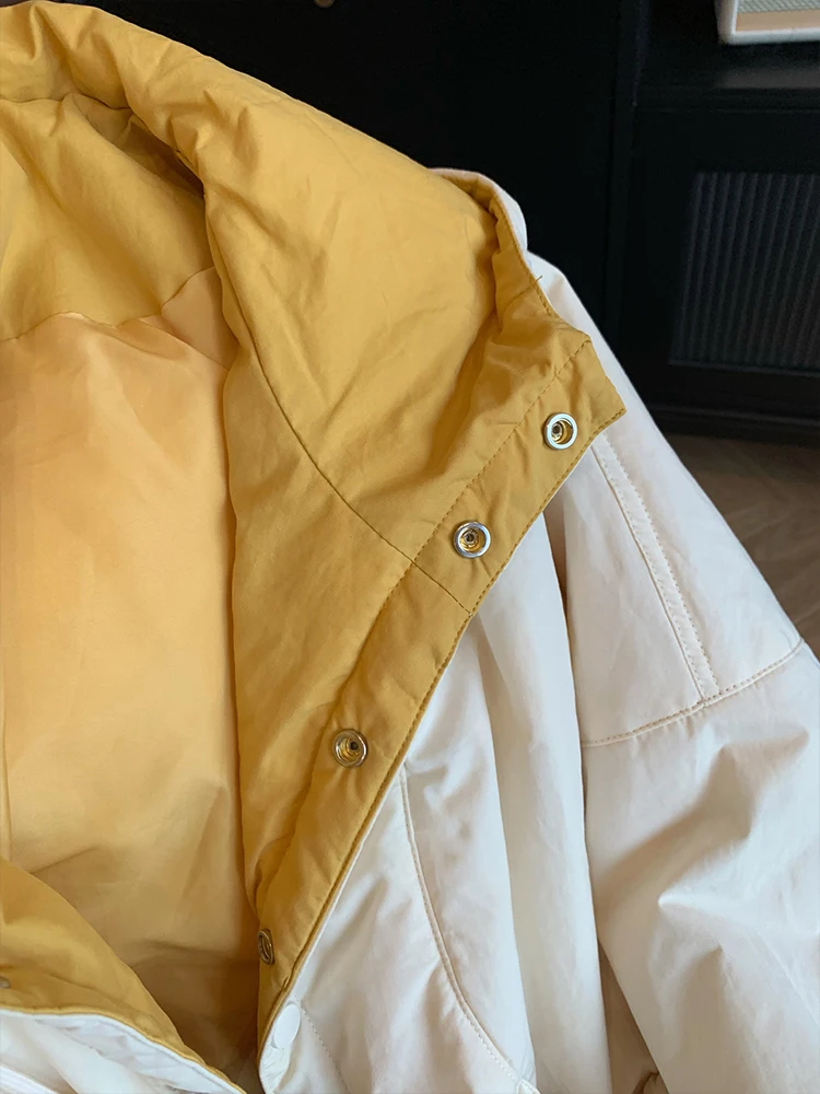 

Теплая хлопковая куртка с воротником-стойкой, женская осенне-зимняя модная универсальная верхняя одежда в Корейском стиле, свободная посадка