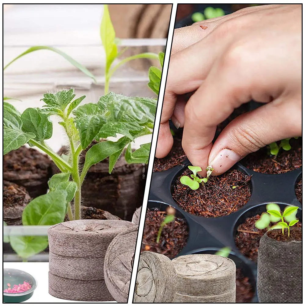 

1Set 50 Peat Pellets Plant Fiber Soil Full of Nutrients High Water Retention for Balcony Garden Transplanting Soil Blocks