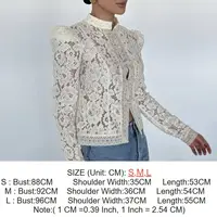 Solid Color Embroidery Blouse See-through Full Sleeve Patchwork Blouse Single Breasted Slim Fit Chinese Style Top Summer Wear 6