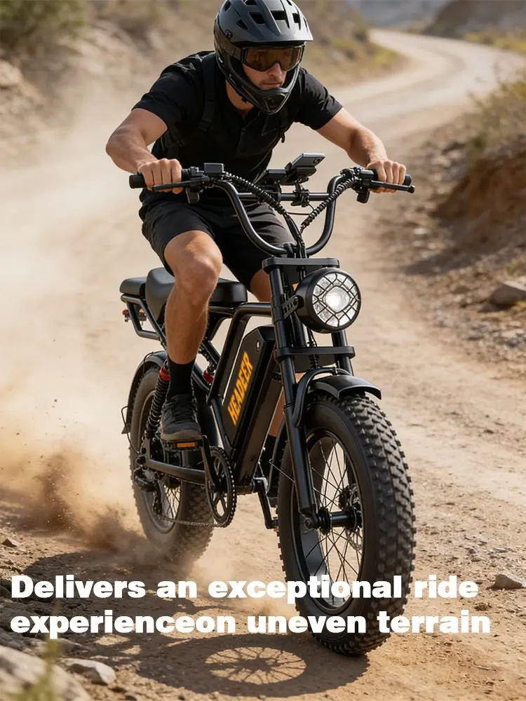 E-Bike 48V20AH Herausnehmbarer Langstrecken-Akku Hohe Geschwindigkeit ​ ​ Bürstenloser Motor E-Bike gemäß Europäischen Vorschriften, E-Bike mit Doppelscheibenbremse, 20 Zoll Fat Tire Elektrofahrrad