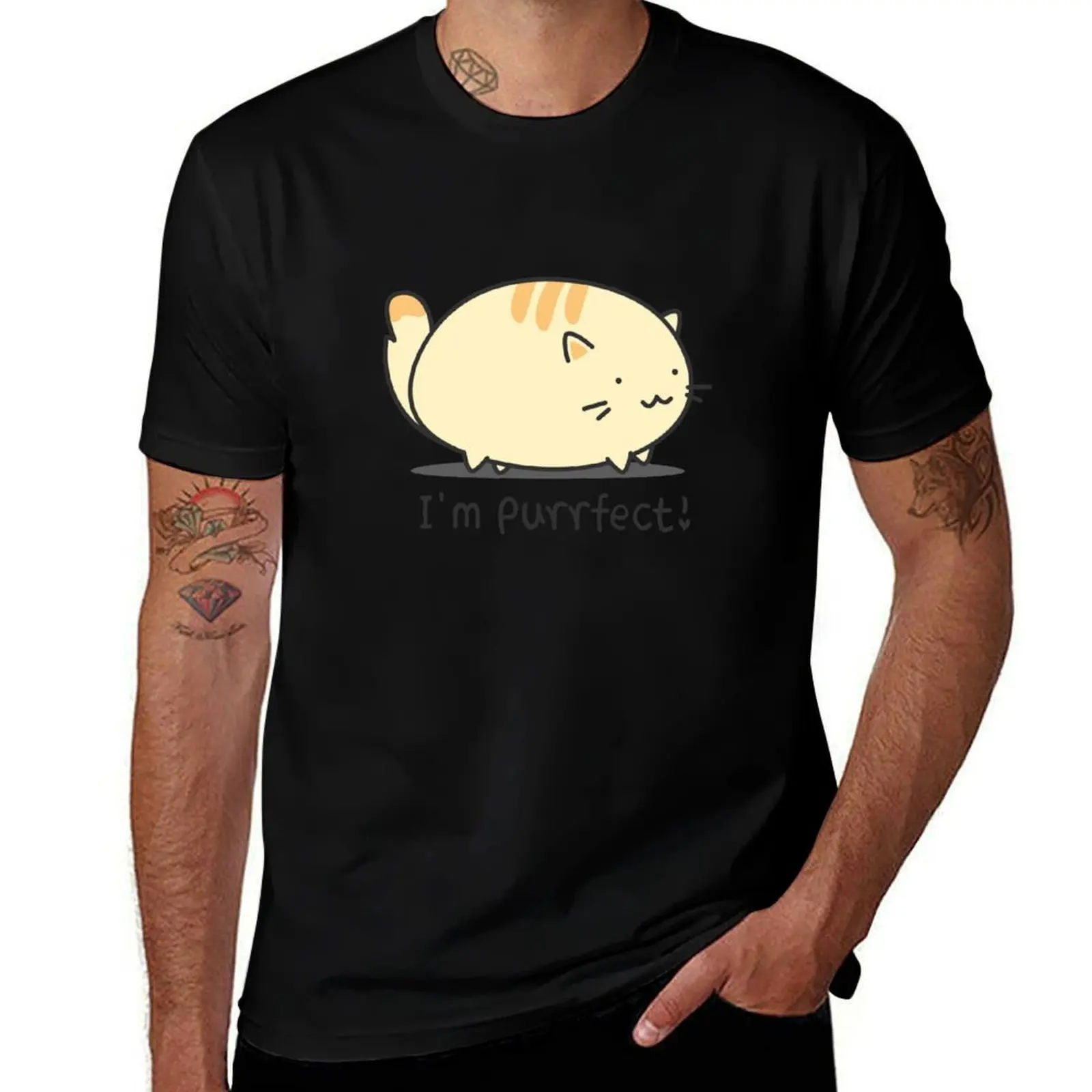 

I'm purrfect! T-Shirt man t shirt graphic man graphic t shirt T-Shirt