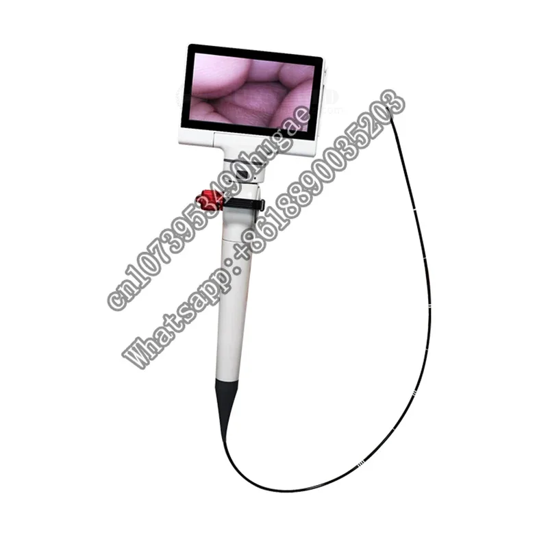 SY-P029-2 hospital Multifunction flexible video  5 inch LCD screen Video ENT  price