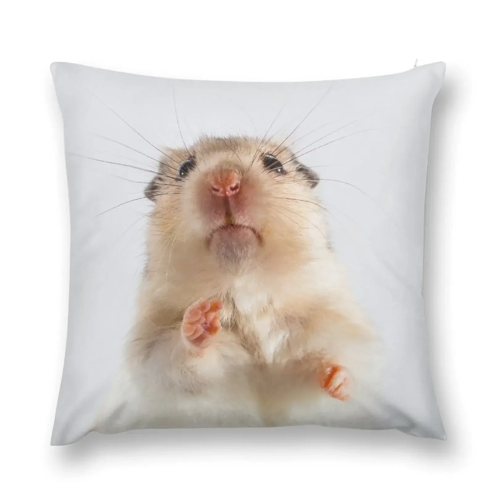 Syrian Hamster Pillow Throw Pillow Cushion Cover Luxury Pillow Decor autumn decoration