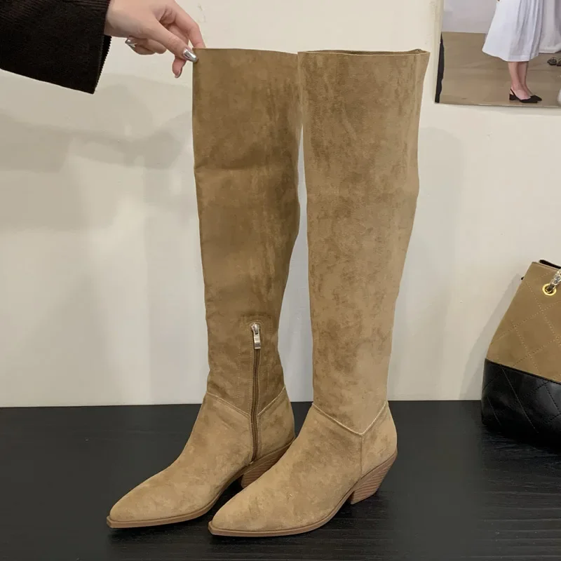 

Eilyken 2026 Winter Pointed Toe Over The Knee Boot Women Square Low Heels Zipper Shoes Punk Style Thigh High Long Booties