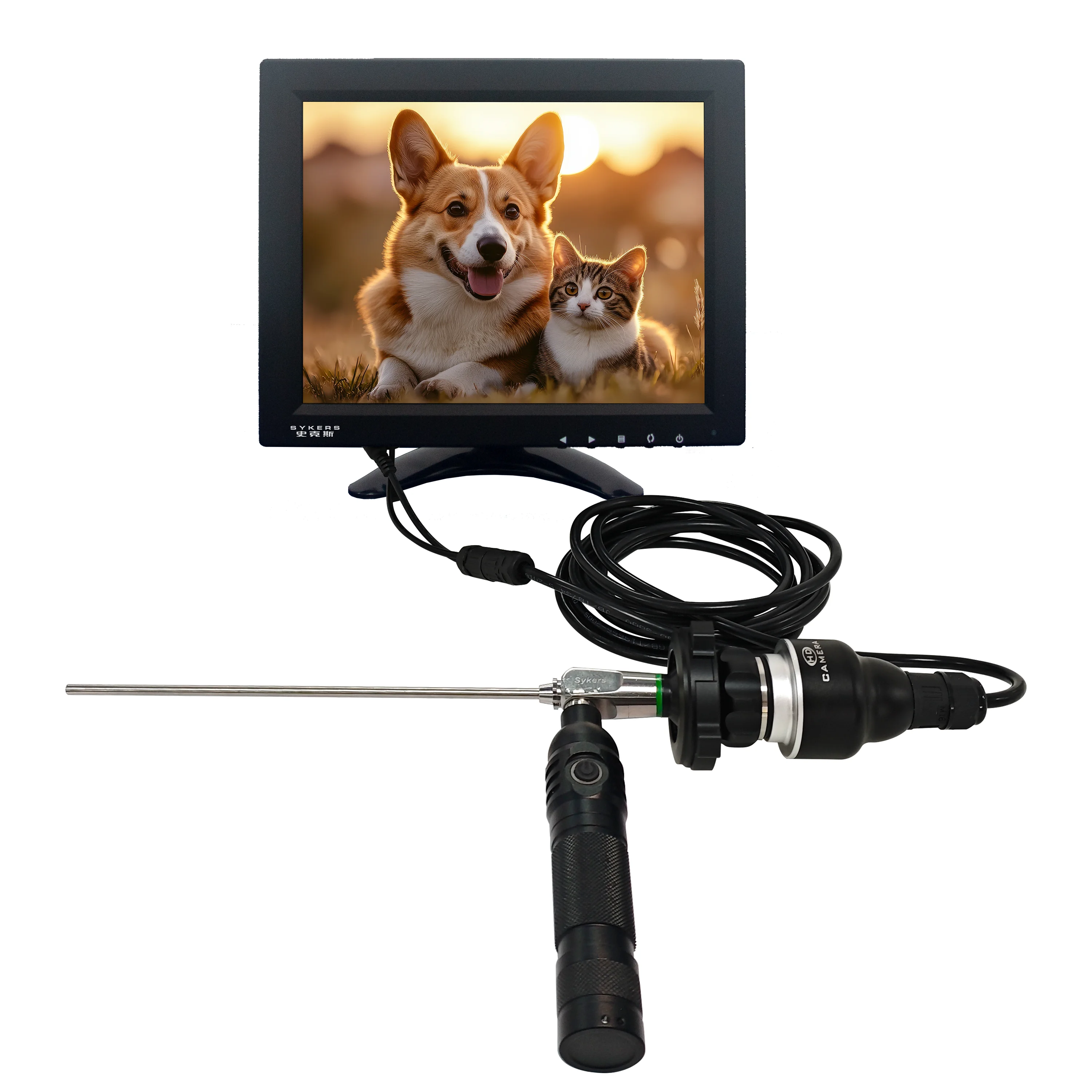 

Canine Endoscopy System Veterinary Laparoscopy Technology