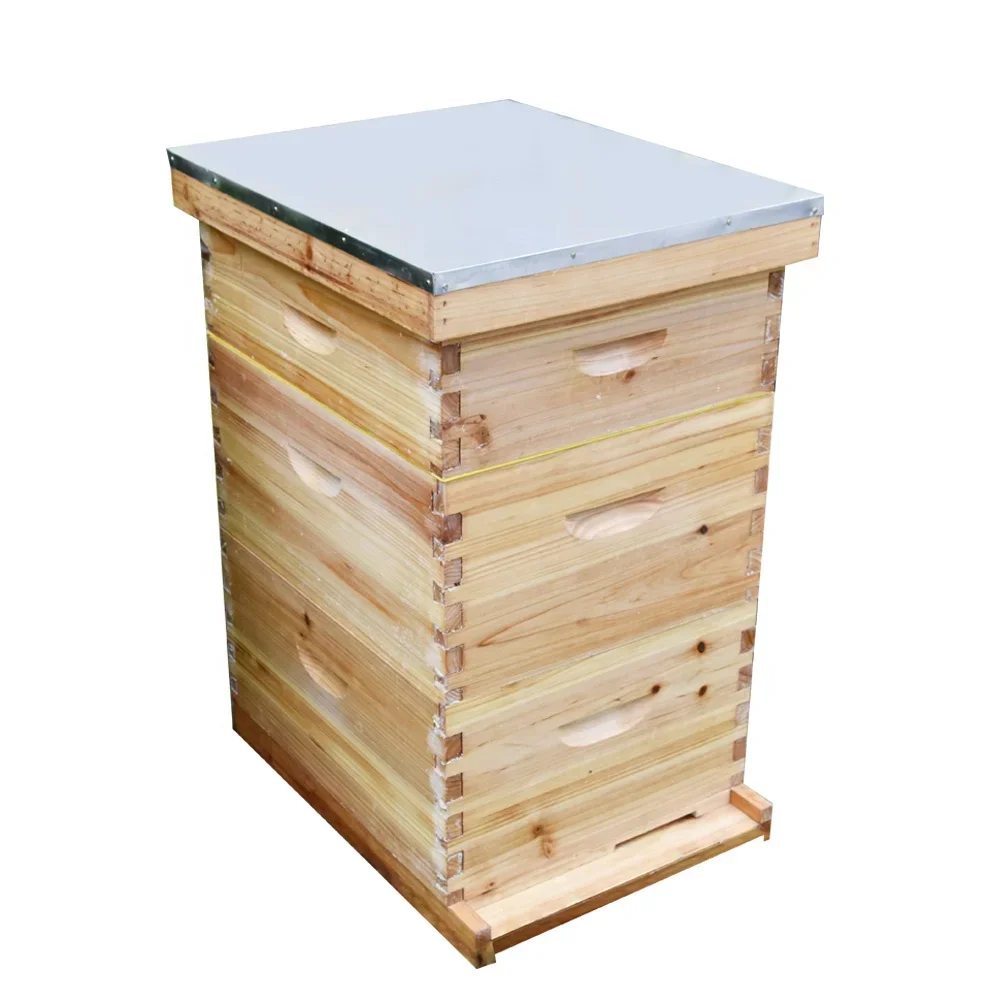 wholesale beekeeping FIR wood Langstroth bee hive national beehive for apiary