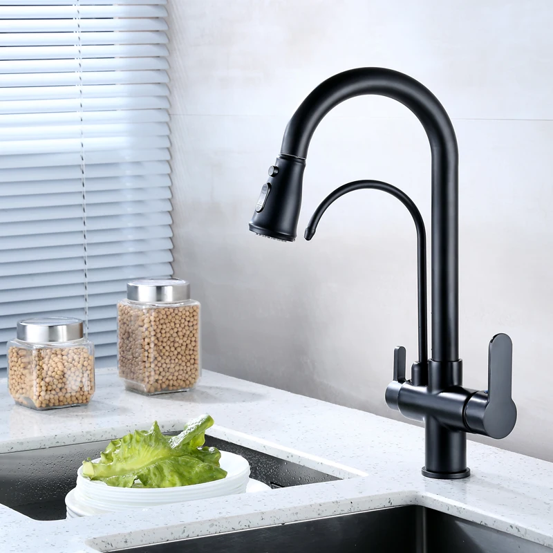 Robinet d'eau en acier inoxydable avec pulvérisateur en laiton, robinet de cuisine moderne, robinet d'évier de centre commercial