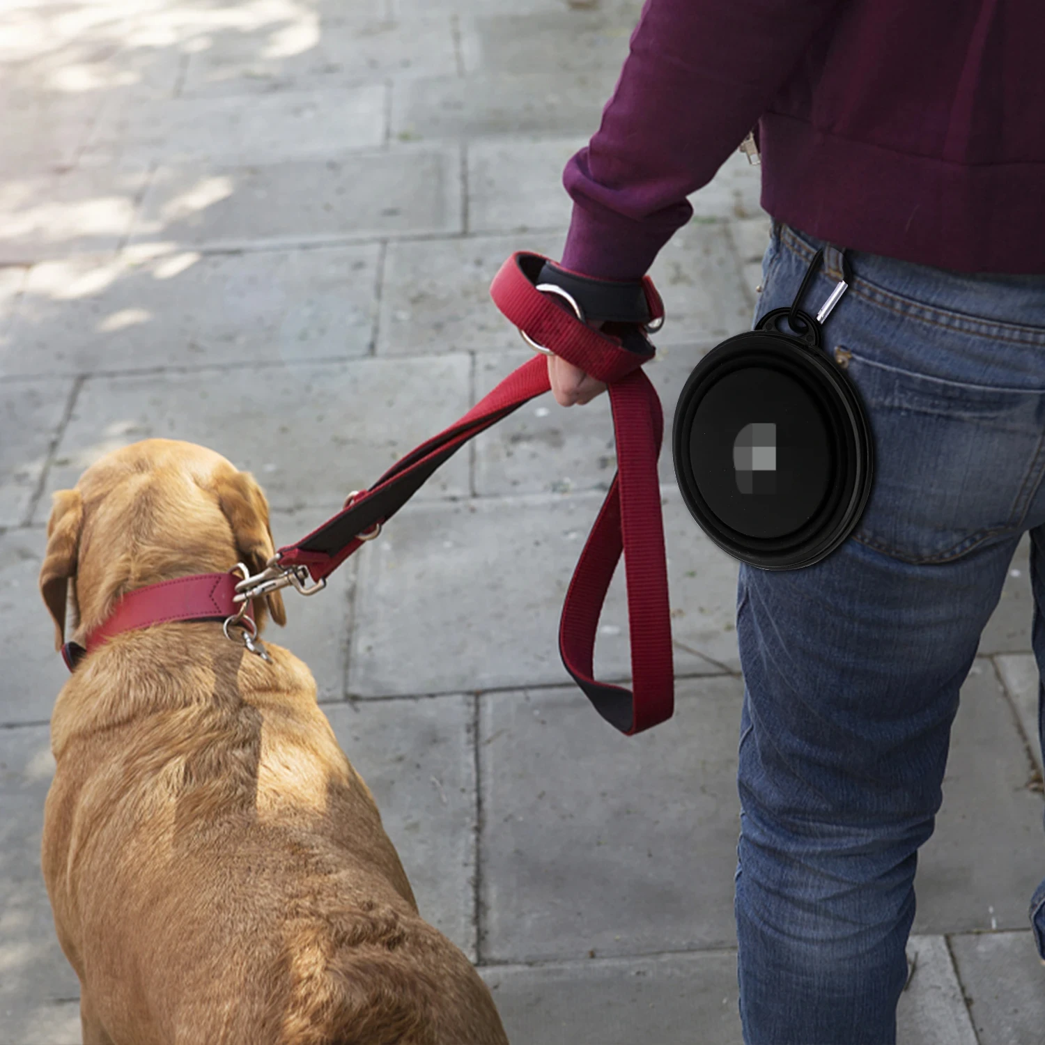 Collapsible Pet Silicone Dog Food Water Bowl Outdoor Camping Travel Portable Folding Pet Bowl Dishes with Carabiner Pet Products