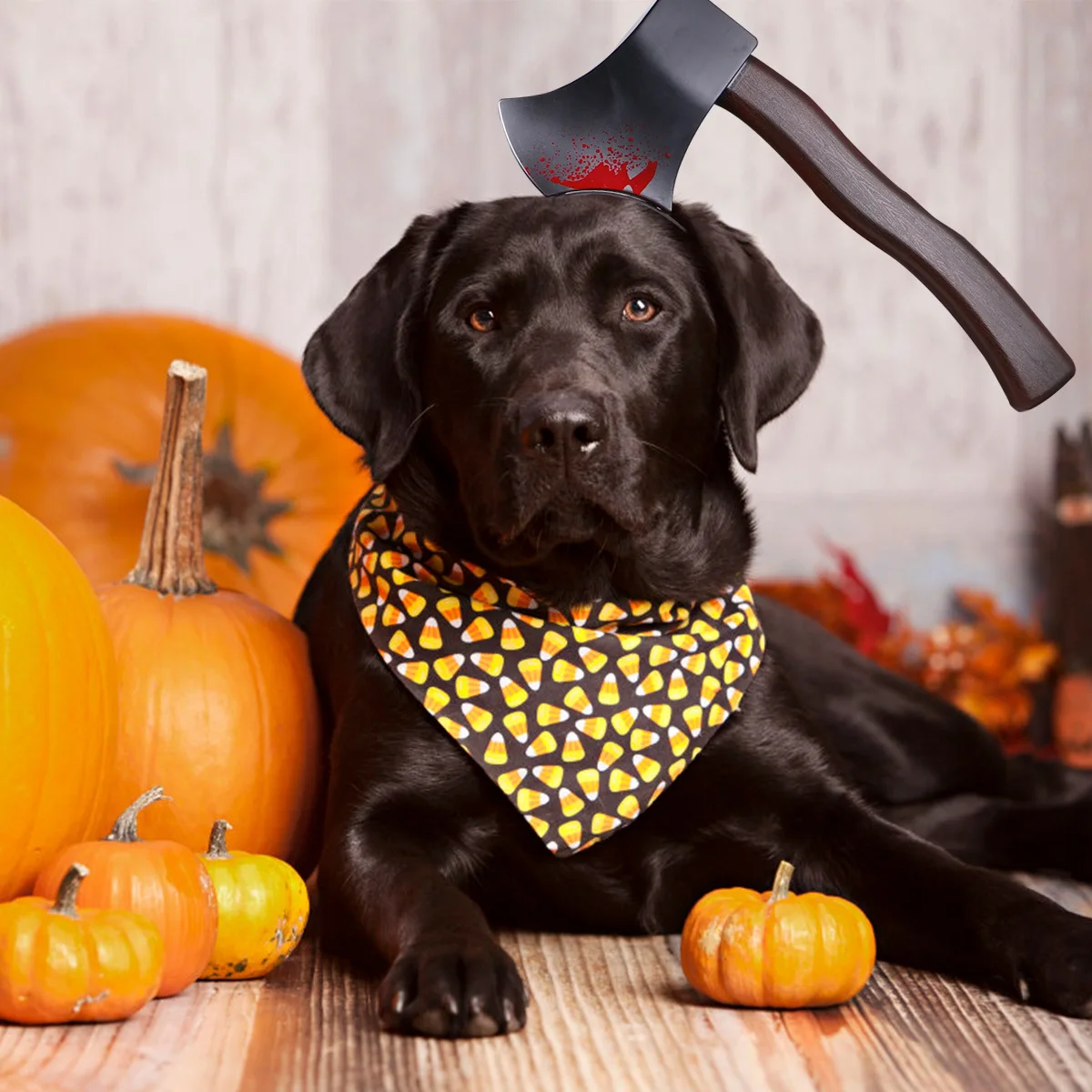 

Halloween Headgear For Dog Puppy, Soft Cloth Pet Party Hat, Creepy Cosplay Trick Prop, Pet Halloween Headband Costume For