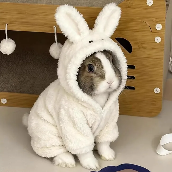 Warm Cartoon Rabbit…