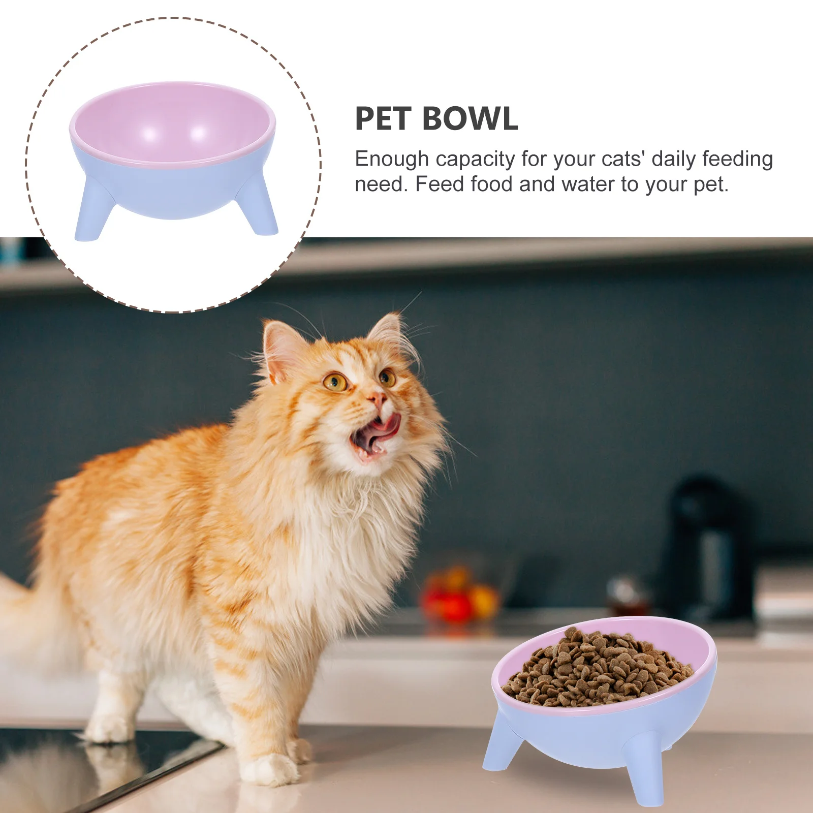 

Stable 15 Degree Inclined Pet Bowl Anti-Slip Design for Cats Dogs Resin Material Multi-Function Water Can Food Holder