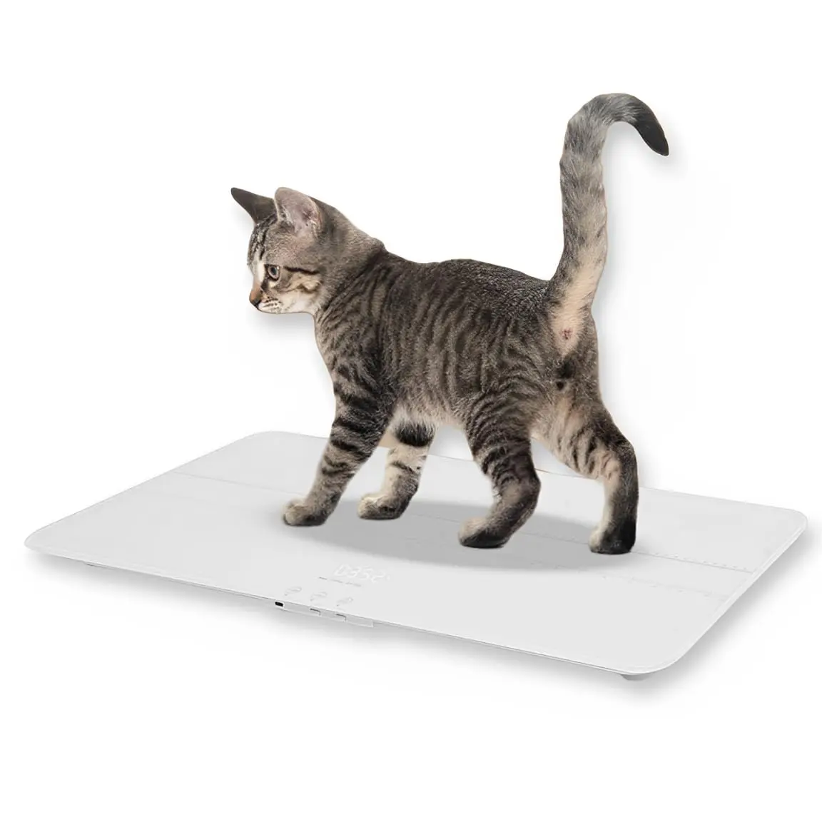 NUEVAS Básculas Digitales para Mascotas de 50g-100kg, Básculas para Perros Grandes, Básculas de Plataforma Ancha, Básculas Electrónicas con Precisión de 10g, Extra Ligeras, de Vidrio Plano