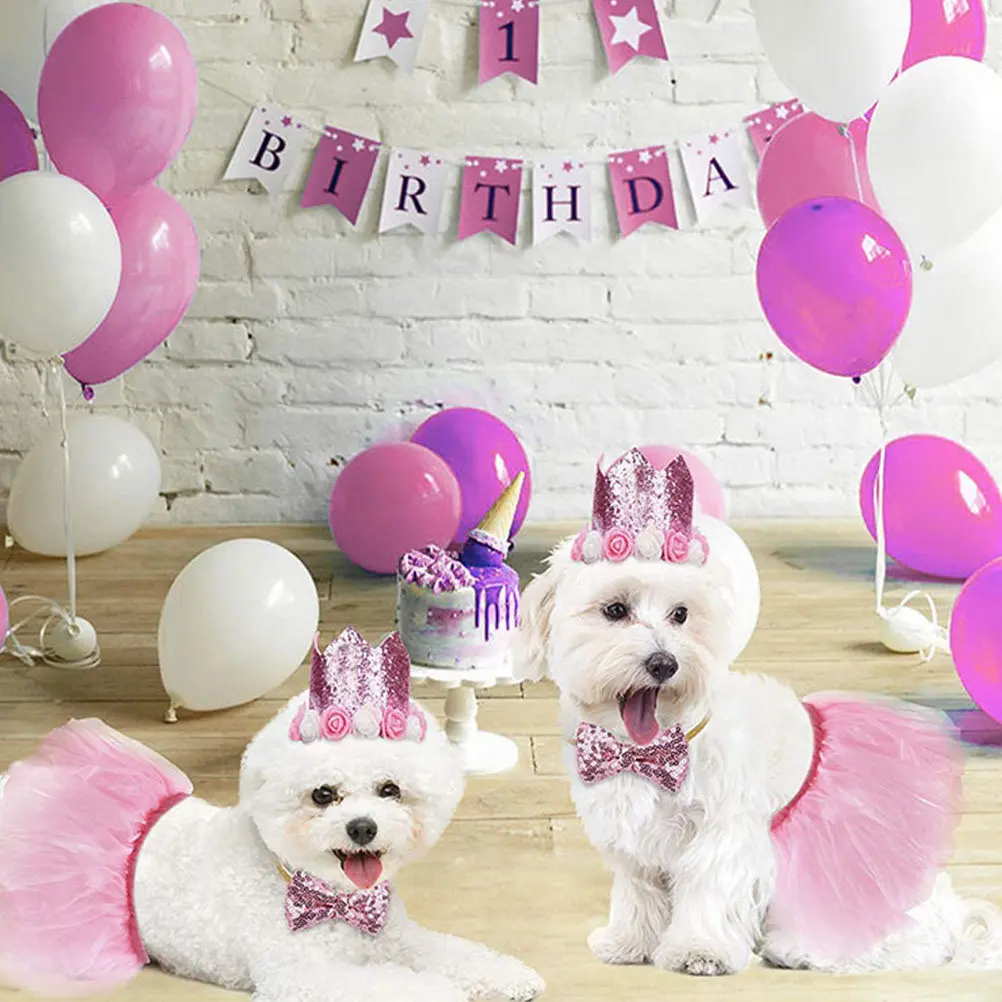 Dog Birthday Party Supplies Pet Hat and Tutu Skirt Costume Kit Celebration Decorations Photo Props