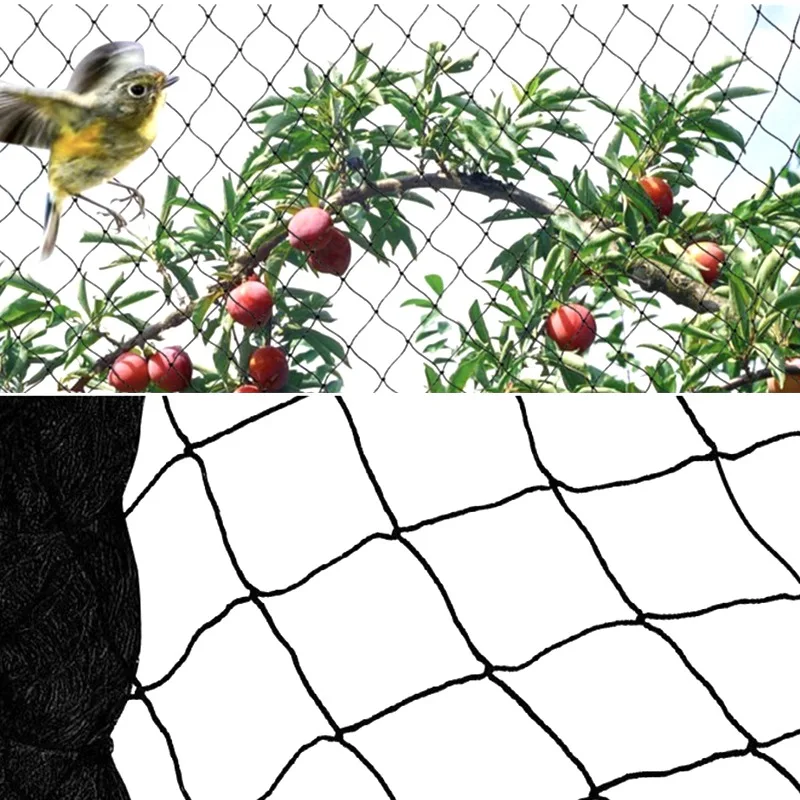 New 20mm Hole Black HDPE Mesh Orchard Vegetable Strawberry Cherry Grape Fruit  Anti Bird Net Pond Breeding Fence Garden Netting
