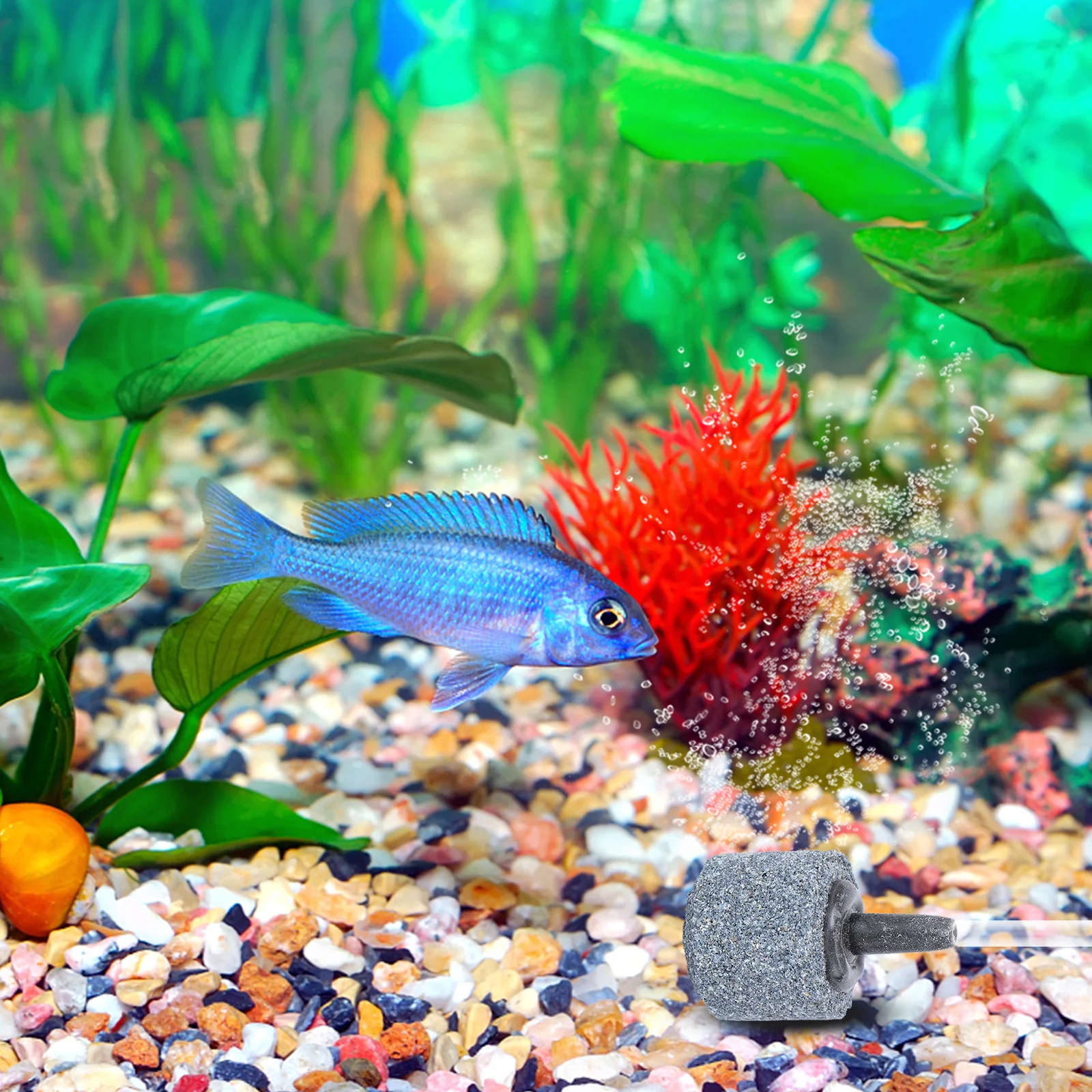 

10Pcs Aquarium Air Stone Oxygen Pump Fish Tank Bubbler Durable Compact Stylish Uniform Bubbles Fish Tank Bubbler