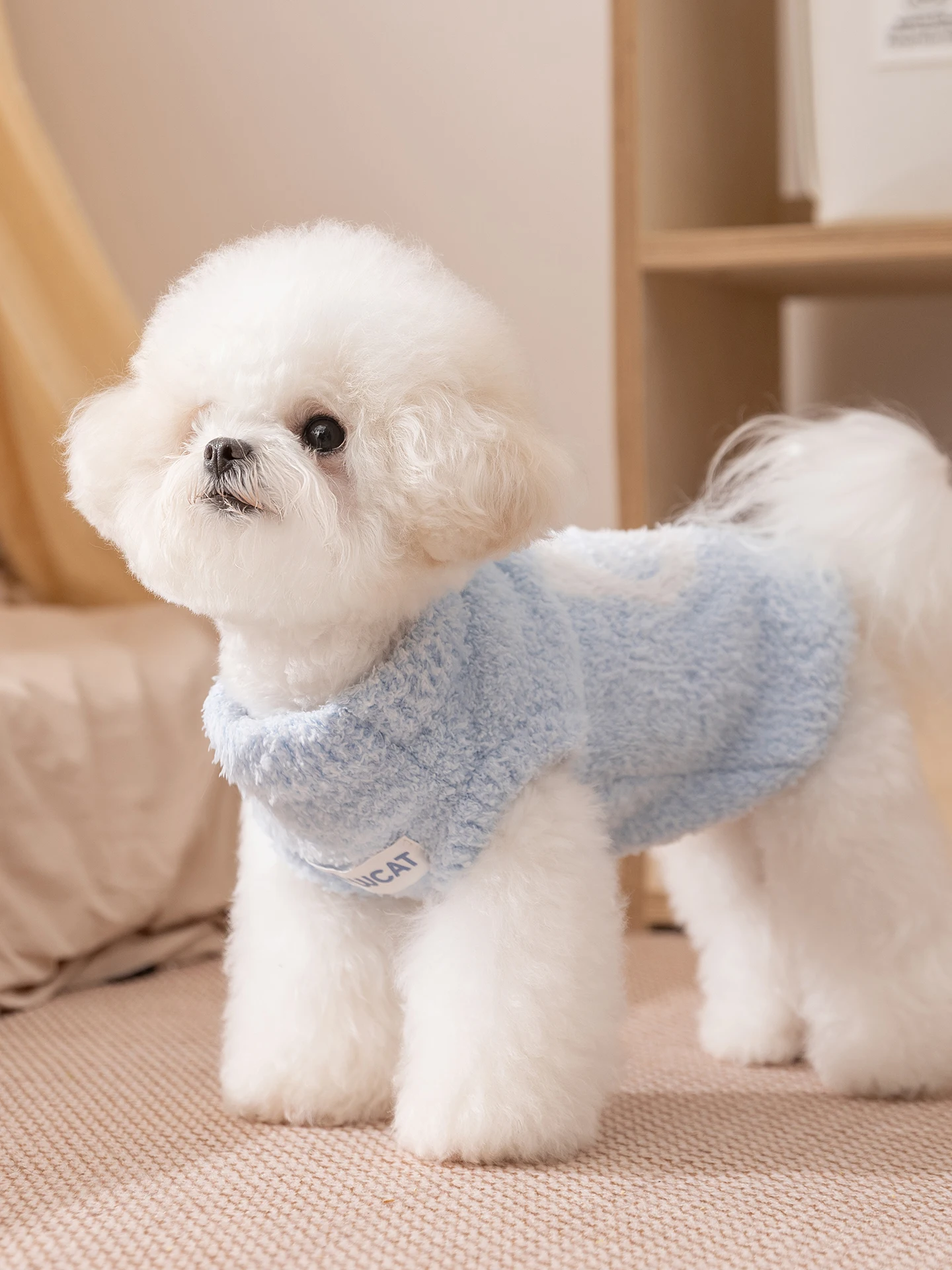 

Dog clothes 2025 new autumn and winter clothes Bichon Teddy Schnauzer small dog hippie dog pet puppy clothes