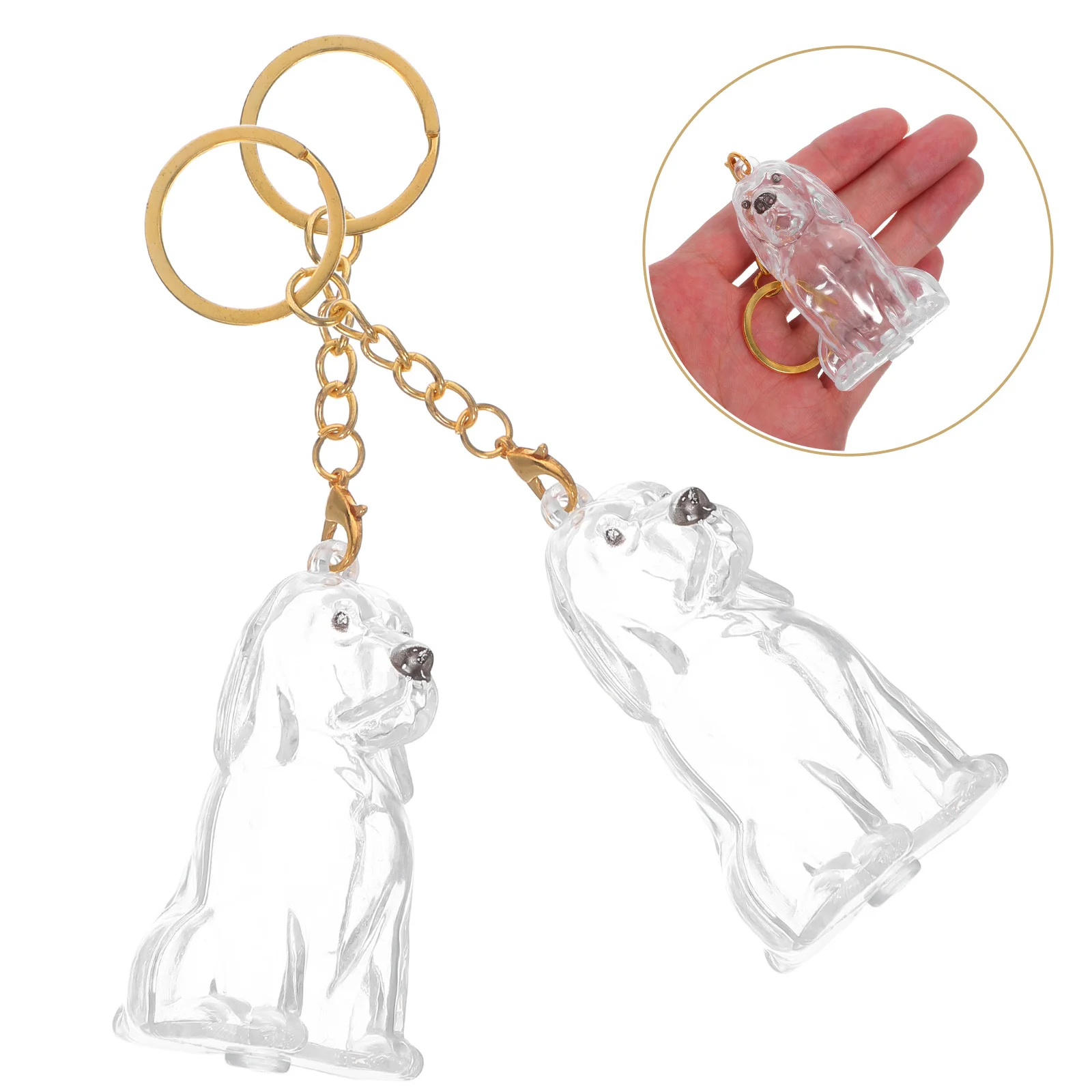 

2Pcs Pet Hair Storage Keychain Transparent Dog Hair Keepsake Box Portable Organizer Memorial Keyring for Travel Daily Use